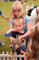 Kineton duck