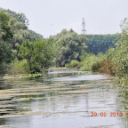 DSCN8311.JPG