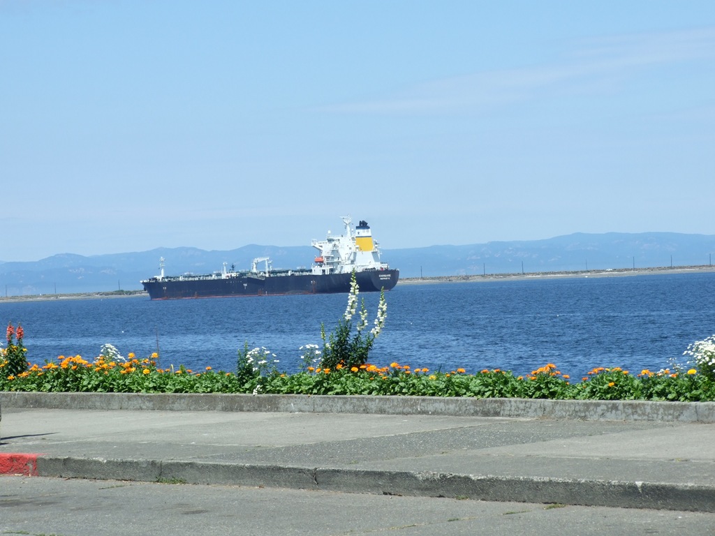 [DSCF74035.jpg]