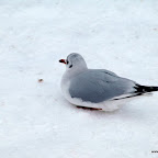 PC293559 [640x480].JPG