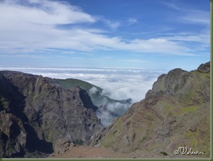 P1080573 P1080573