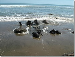 IMG_2589 IMG_2589