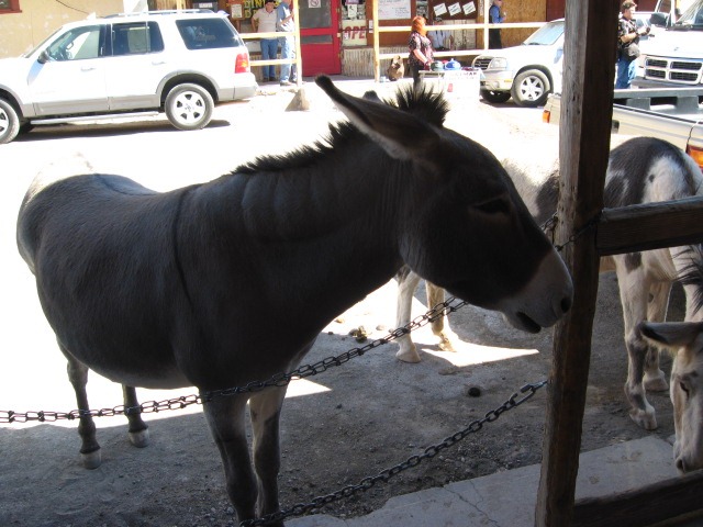 [IMG_0936%255B3%255D.jpg]