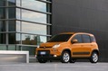 2013-Fiat-Panda-Trekking-29 2013-Fiat-Panda-Trekking-29