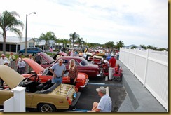 DSC_6127 (800x532)