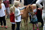 Lojsta Hed 26 juli 2010