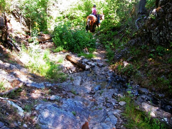 [IMG_3117%255B5%255D.jpg]