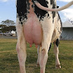 superleite2011_dia1607_81.JPG