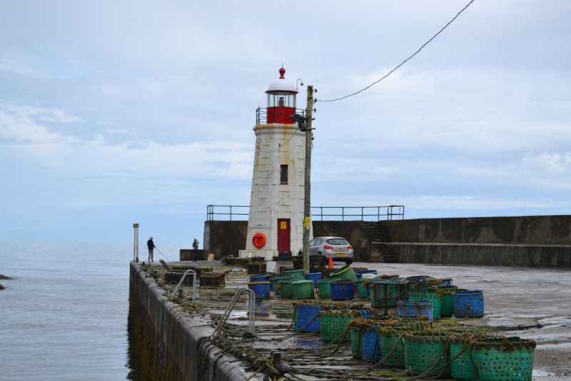 DSC_0511