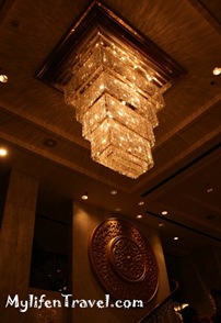 IMG_8935 IMG_8935