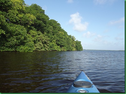 Coot Bay paddle 055