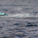 P7240774.JPG