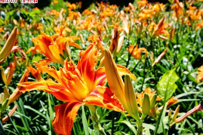 2014_0707_102104 2014_0707_102104