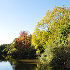 DSC_1135.jpg