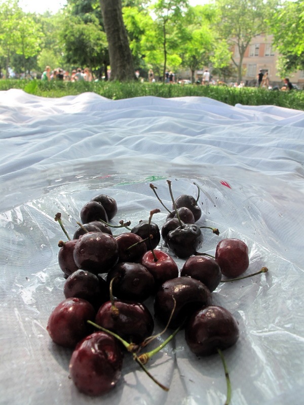 IMG_0568 IMG_0568