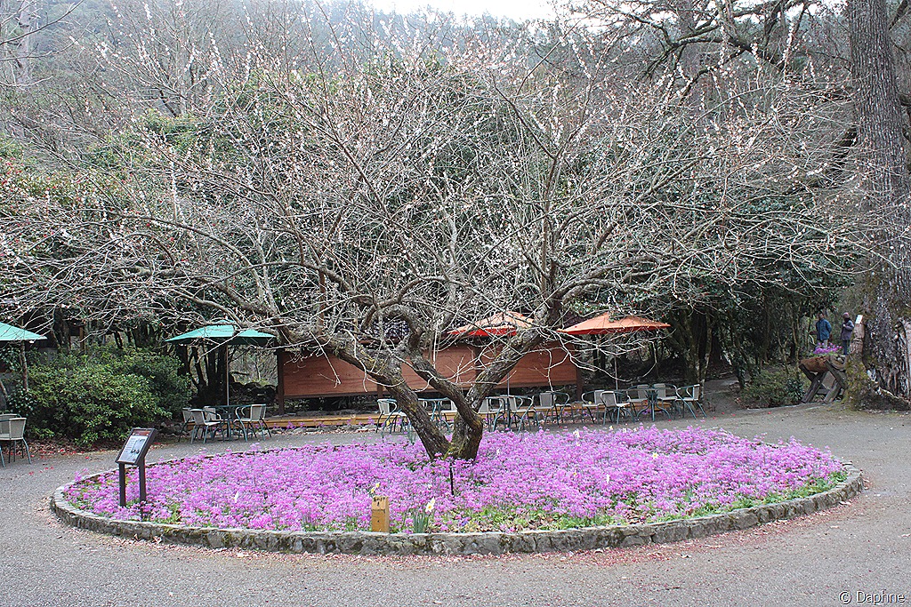 [IMG_5336%255B5%255D.jpg]