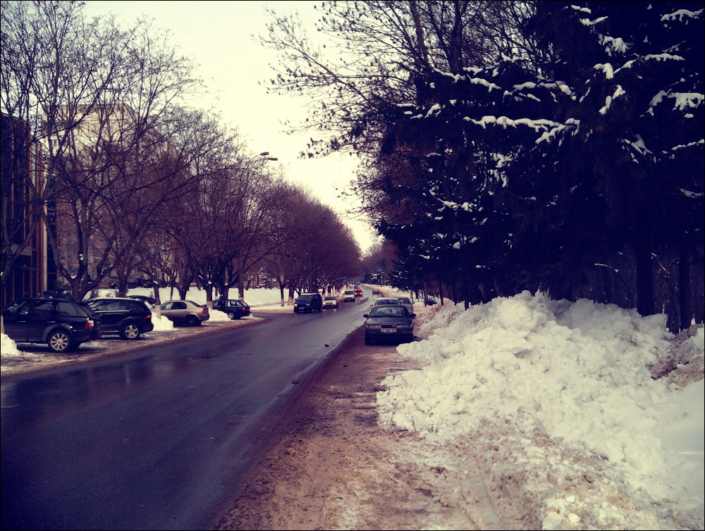 IMAG0092.jpg