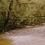 The Oparara Basin - Karamea, New Zealand