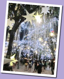 IMG_1317 IMG_1317