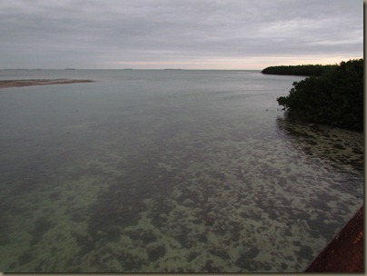 view from walking bridge in am