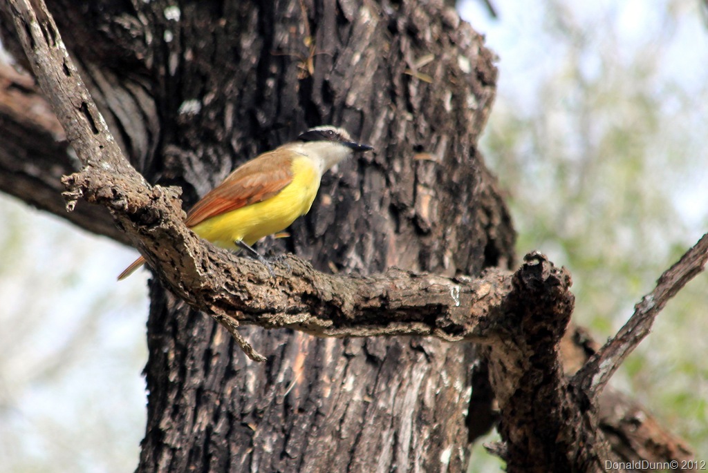 [IMG_2264B%255B6%255D.jpg]