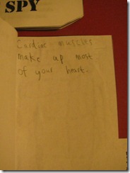 IMG_9360 IMG_9360