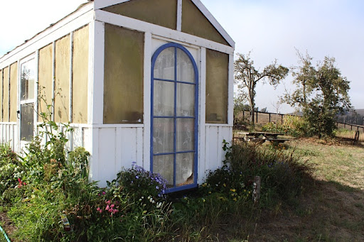 Their old greenhouse. The purple trim is so fresh and unexpected. Their old greenhouse. The purple trim is so fresh and unexpected.