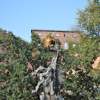 DSC_0205.jpg DSC_0205.jpg