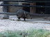National Zoo in August
