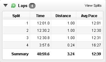 For the Run of It 5k Splits