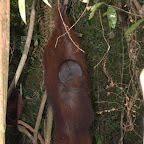 Hat sich da Yani in eine Touristin verguckt?