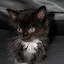 DSCN7727.jpg DSCN7727.jpg