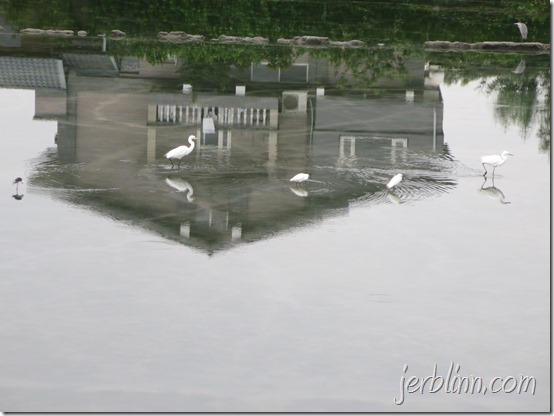 IMG_0240 IMG_0240