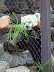 National Zoo in August