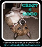 crazy 4 coco log0_thumb[2]