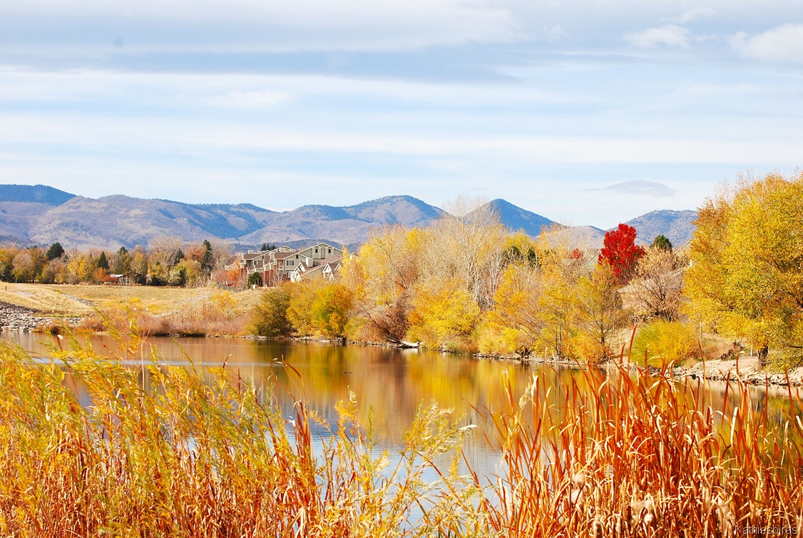 [25.%2520autumn%2520glory-kab%255B7%255D.jpg]