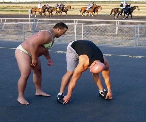 wtf_pictures-gay-sumo-racetrack