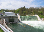 IMG_5506.JPG