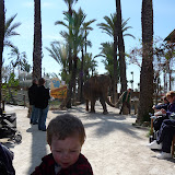 Bemærk den fritgående elefant i baggrunden &ndash; 02-mar-2011