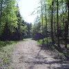 s4031194.jpg s4031194.jpg