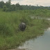 Img_1373