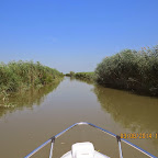 IMG_5742.JPG