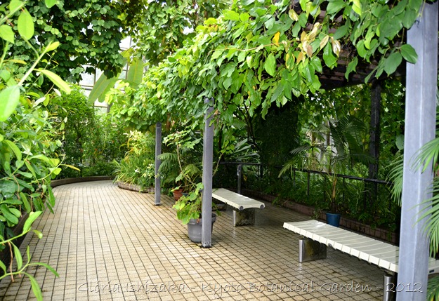 Gloria Ishizaka - Jardim Botanico de Kyoto 2012 - 14