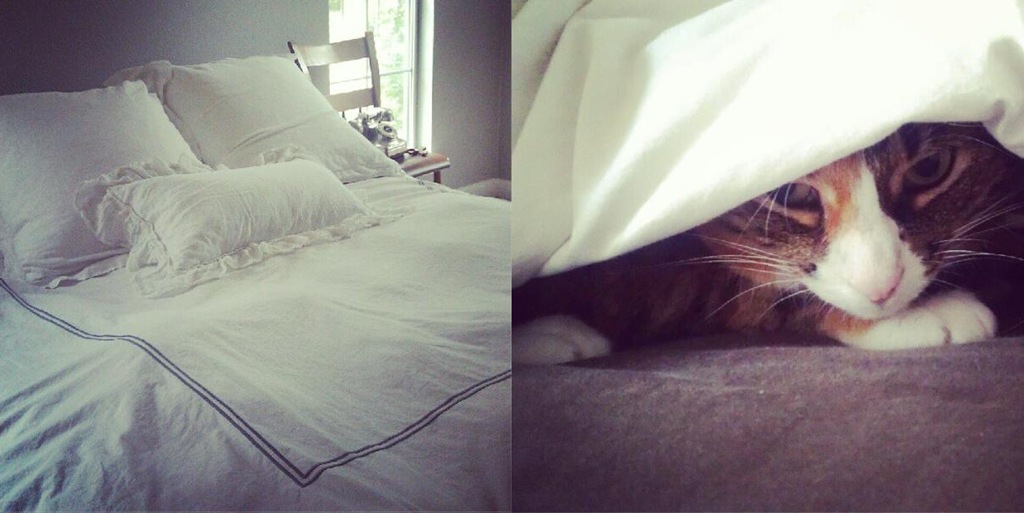 [CatSunday%255B4%255D.jpg]