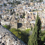 IMG_1003.JPG