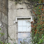 DSC_7464-2.jpg