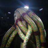 DSC00564.JPG