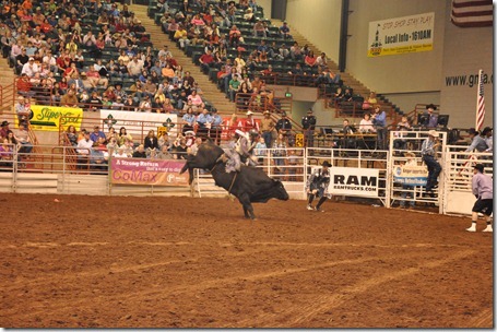 Georgia national rodeo (42)