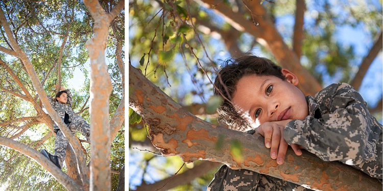 tree climber