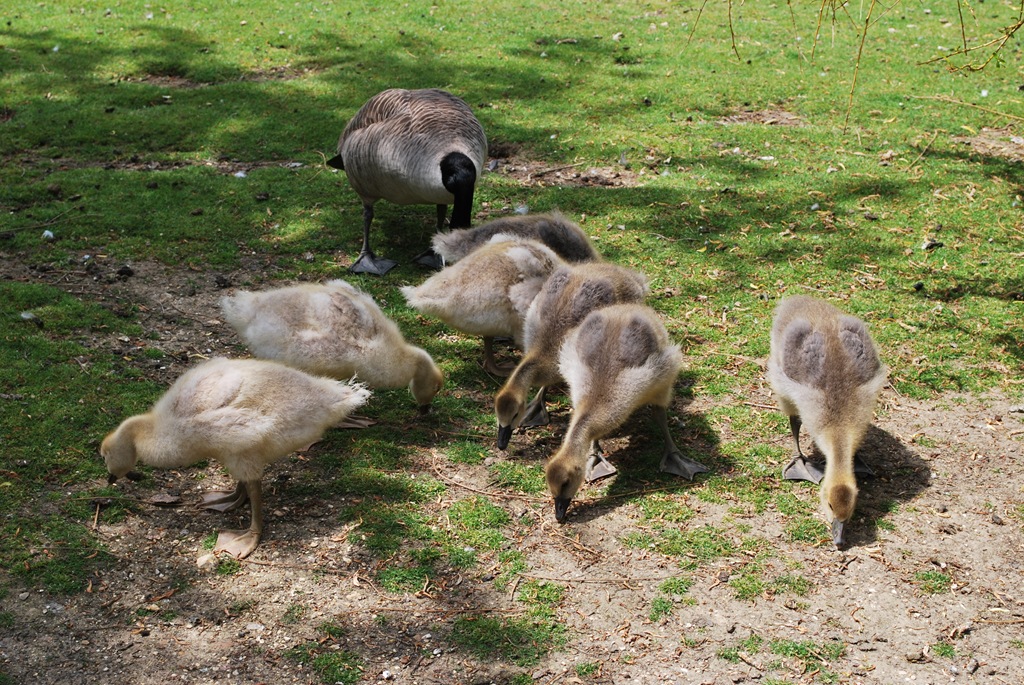 [DSC_0645%255B6%255D.jpg]